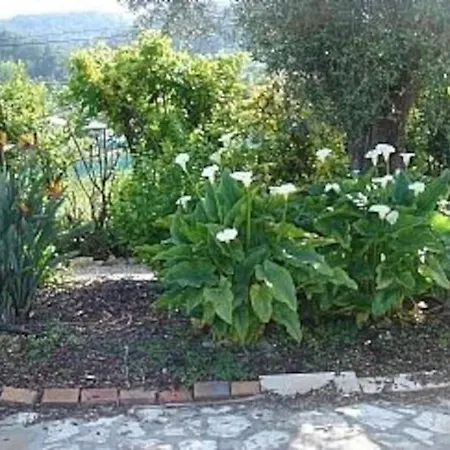 Villa Spacious Cannes With Ac Throughout And Large Private Pool Vallauris