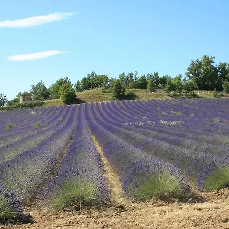 Villa Spacious Cannes With Ac Throughout And Large Private Pool *